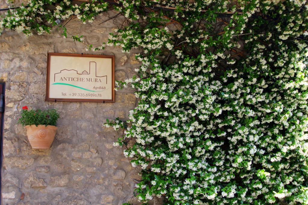 B&B Antiche Mura Тарквиния Экстерьер фото
