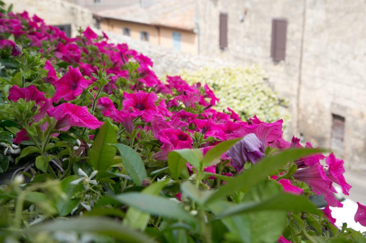 B&B Antiche Mura Тарквиния Экстерьер фото